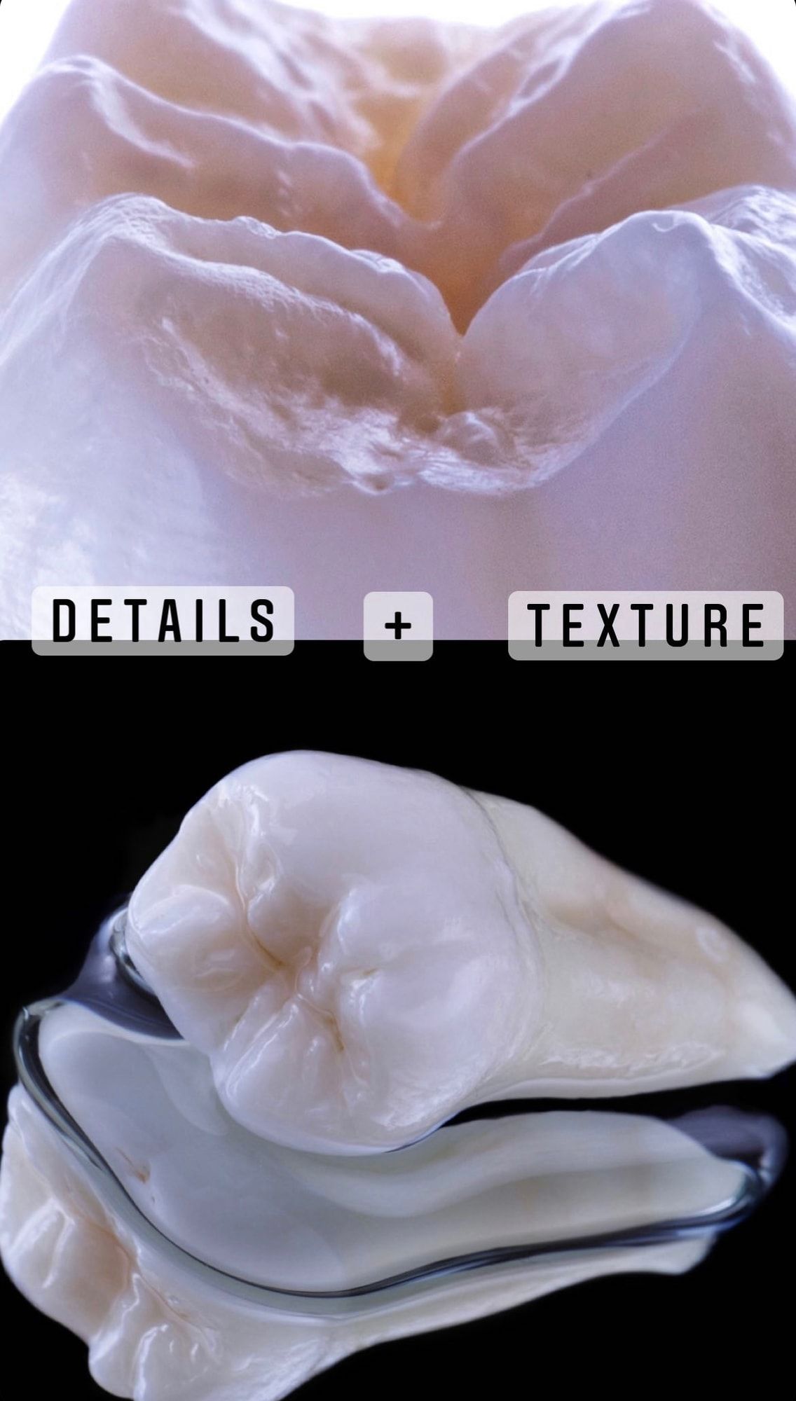 Macro de textura dental
